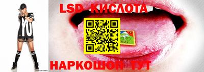 PSILOCYBIN Краснознаменск