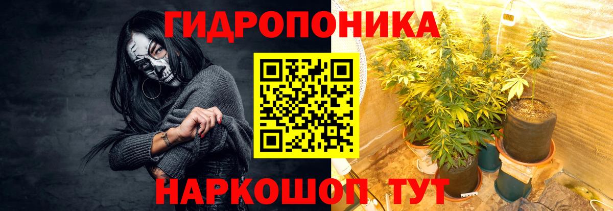 Бошки Шишки марихуана  Канабис тримм  Бошки Шишки Amnesia  Вход с VPN  Калач-на-Дону 